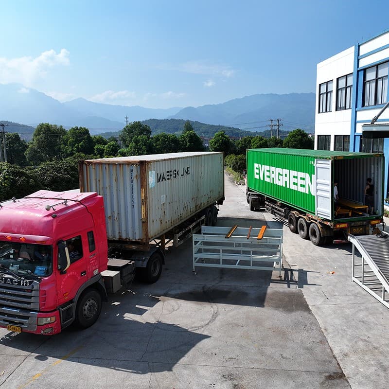 fruit sorting grading line.jpg